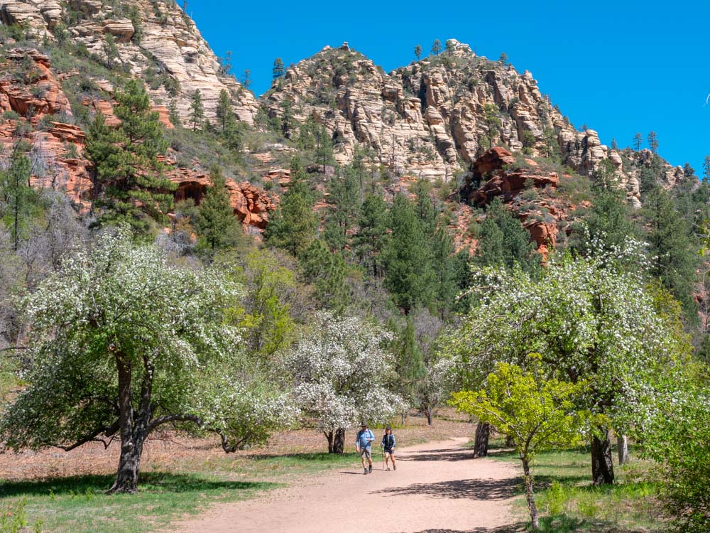 people walking on a dirt path with trees and mountains in the background