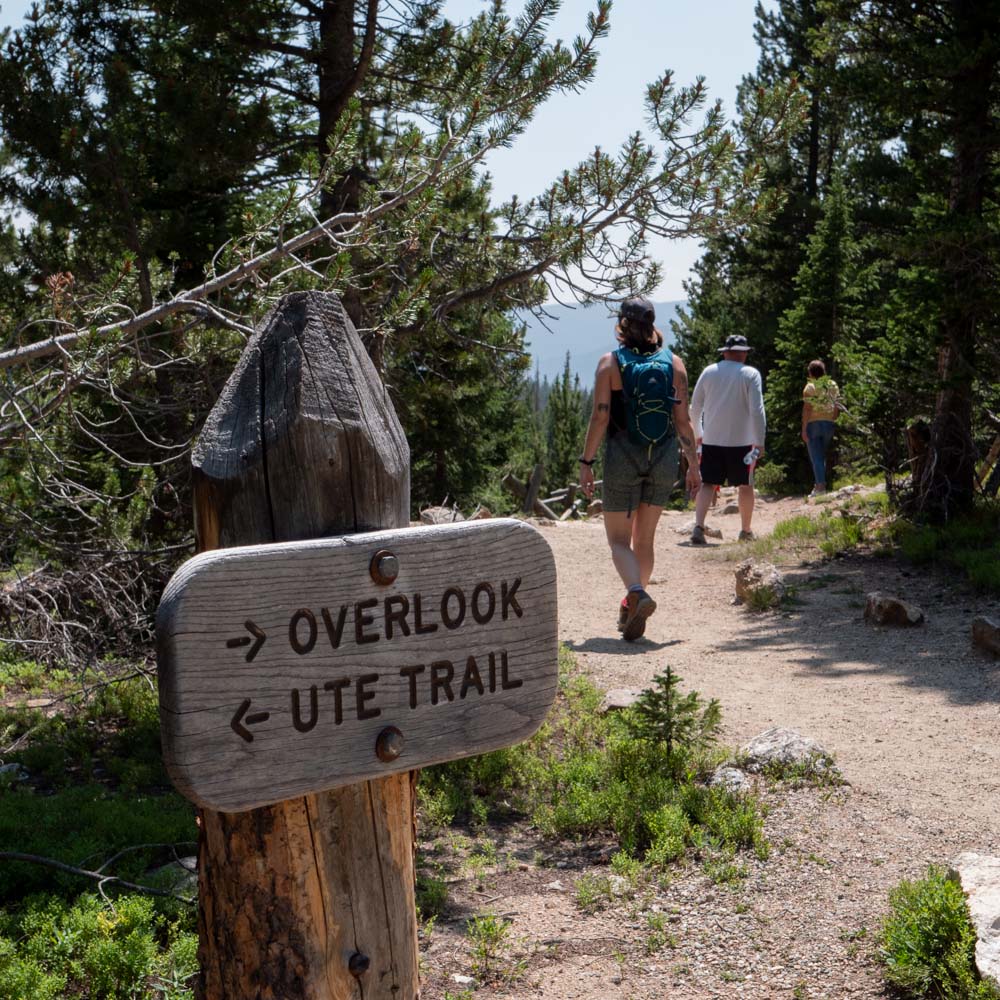 a group of people walking on a trail