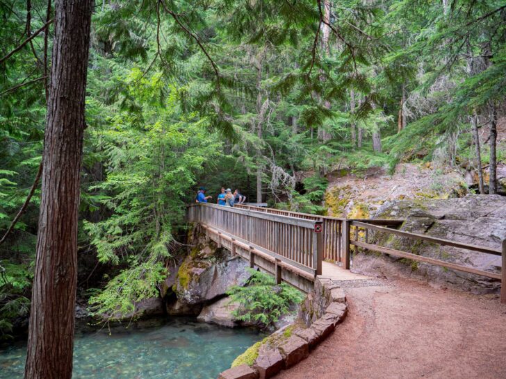 Hikers enjoying Trail of the Cedars Nature Trail in Glacier National Park