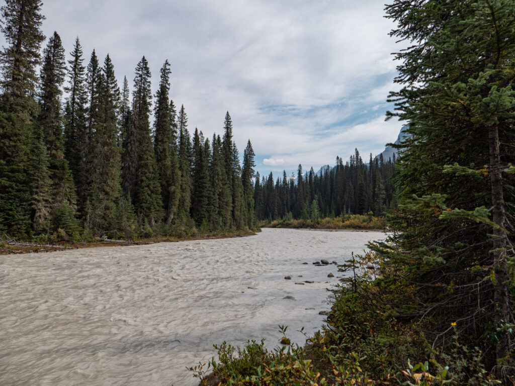 Yoho River in British Columbia, Canada