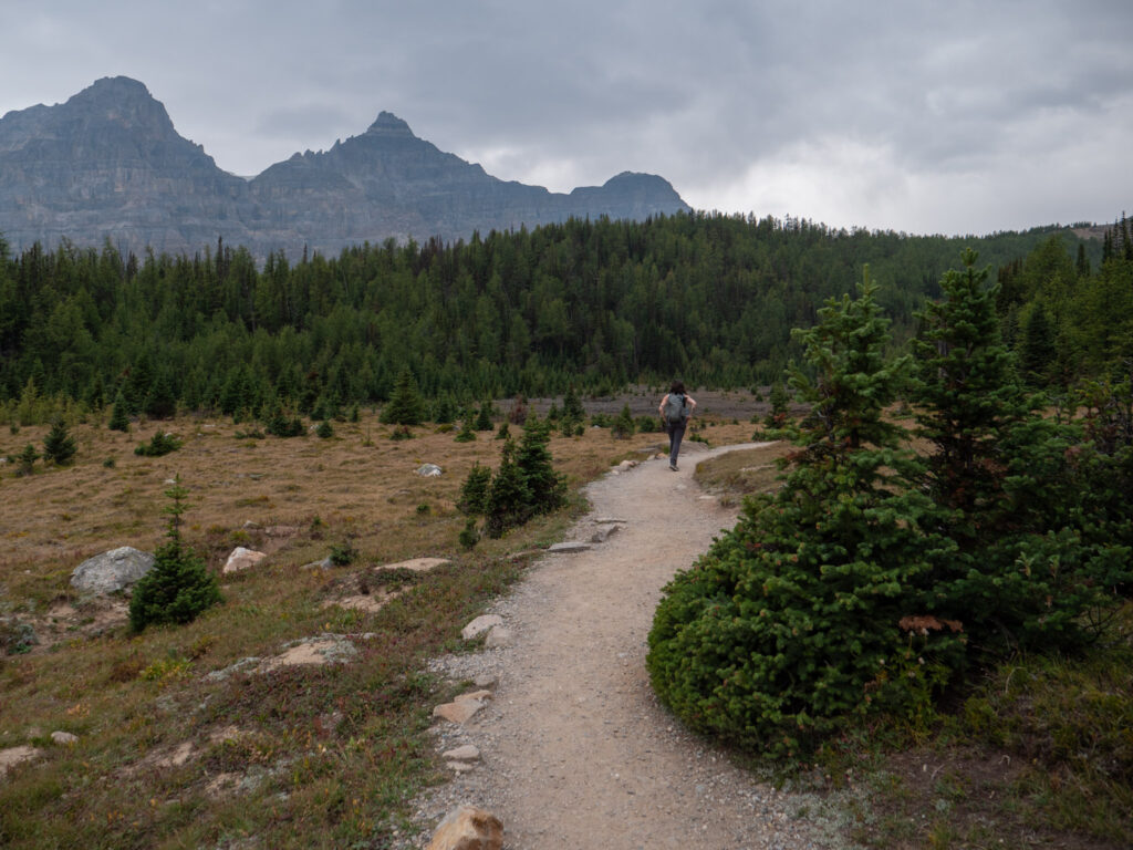 Woman hiking through Larch Valley in Banff