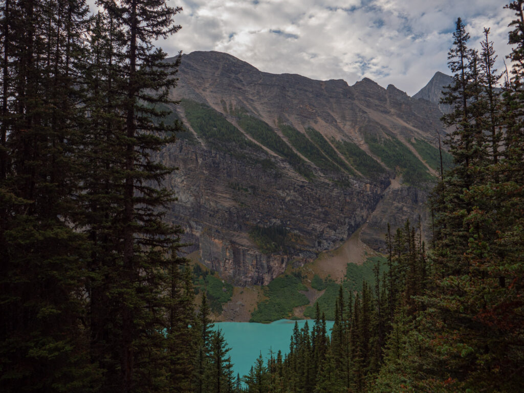 A glimpse of Lake Louise from the Big Beehive trail