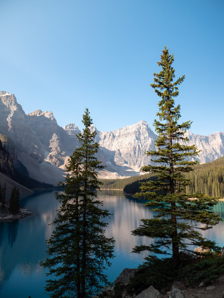 Two trees framing a photograph of Moraine Lake in Banff National Park