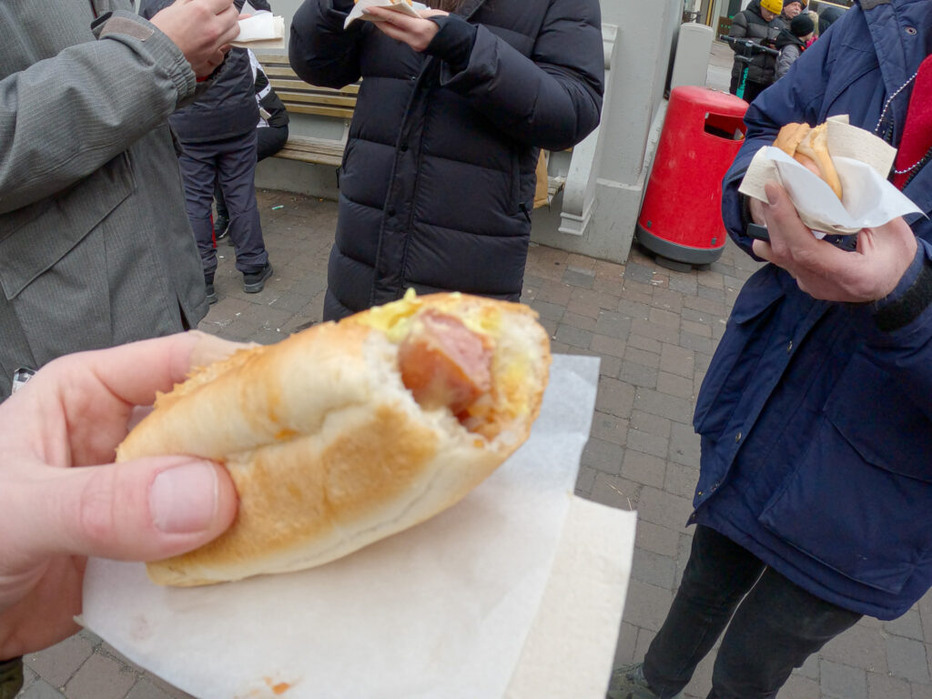 Person holding a traditional Icelandic hot dog