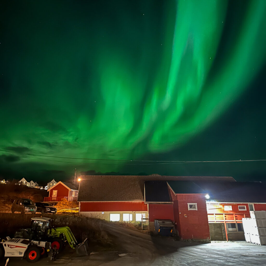 Vivid green Northern Lights display above red house