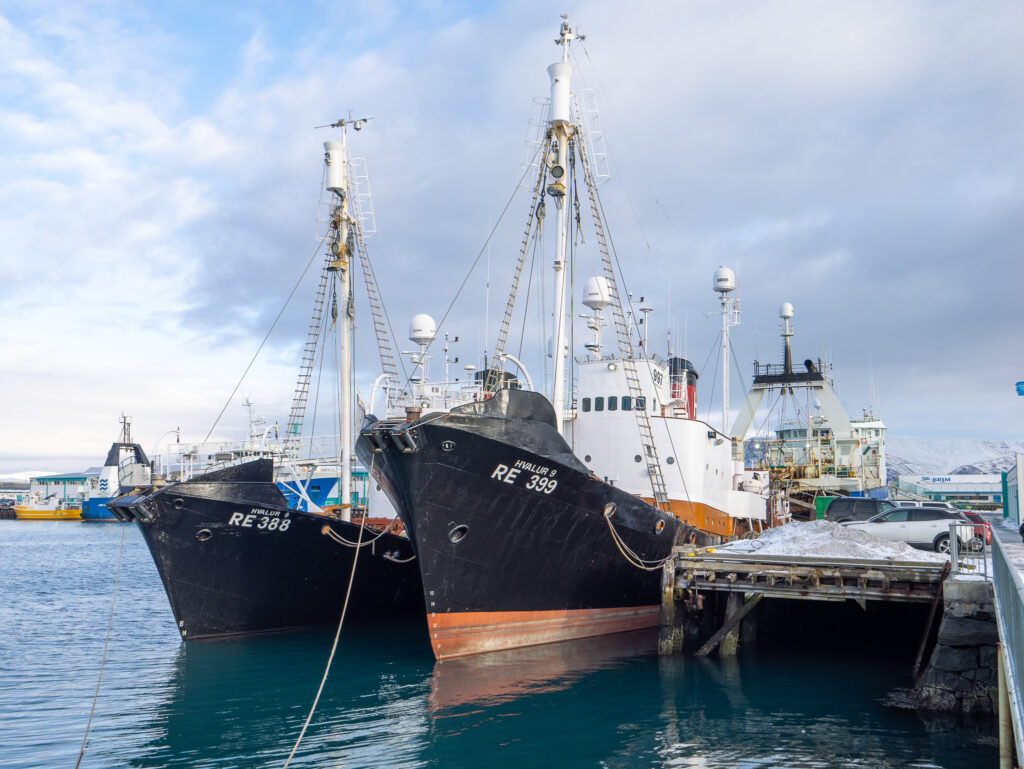 Vessels anchored in Reykjavik Harbor, Iceland