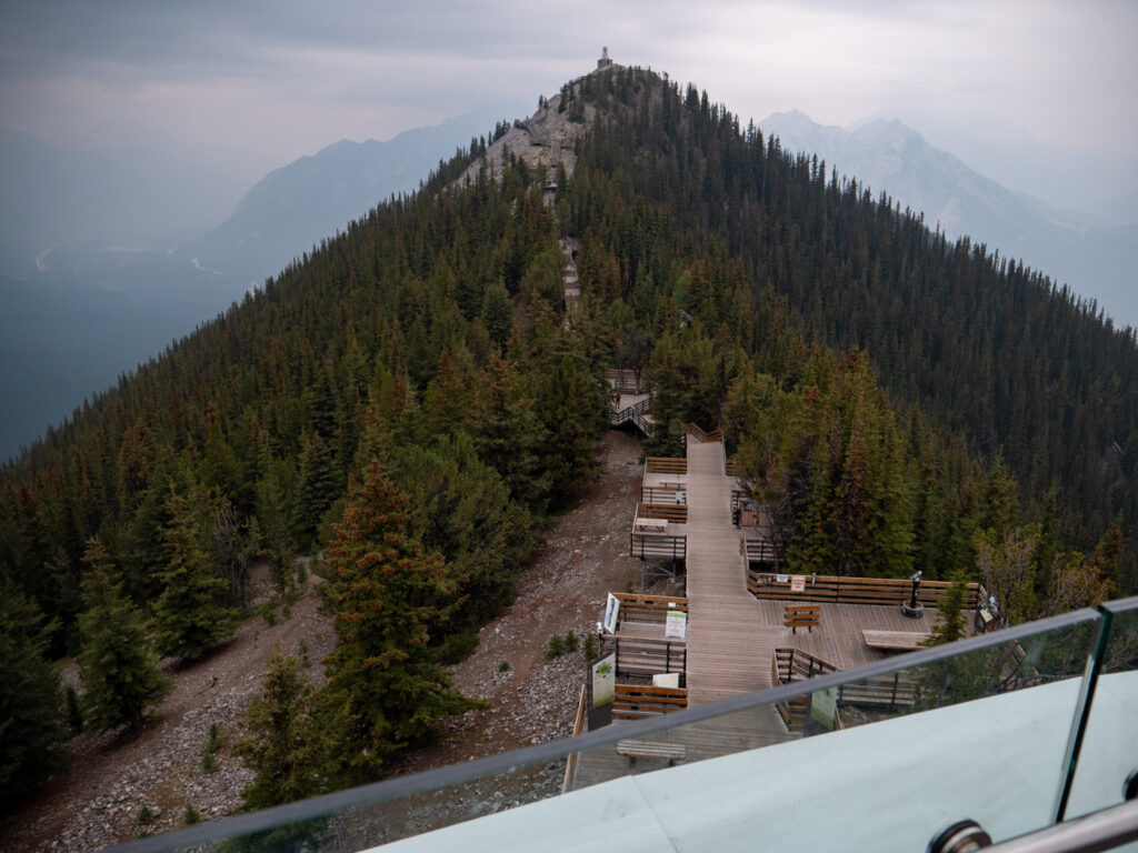 a mountain with trees and a walkway