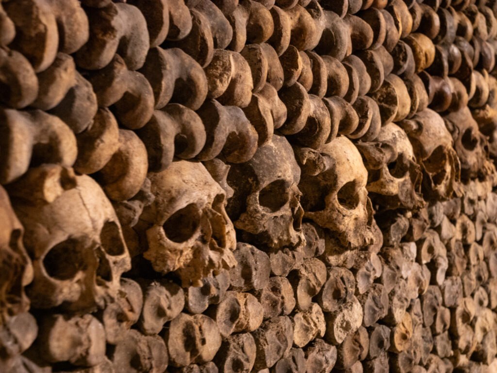 a wall of skulls and bones